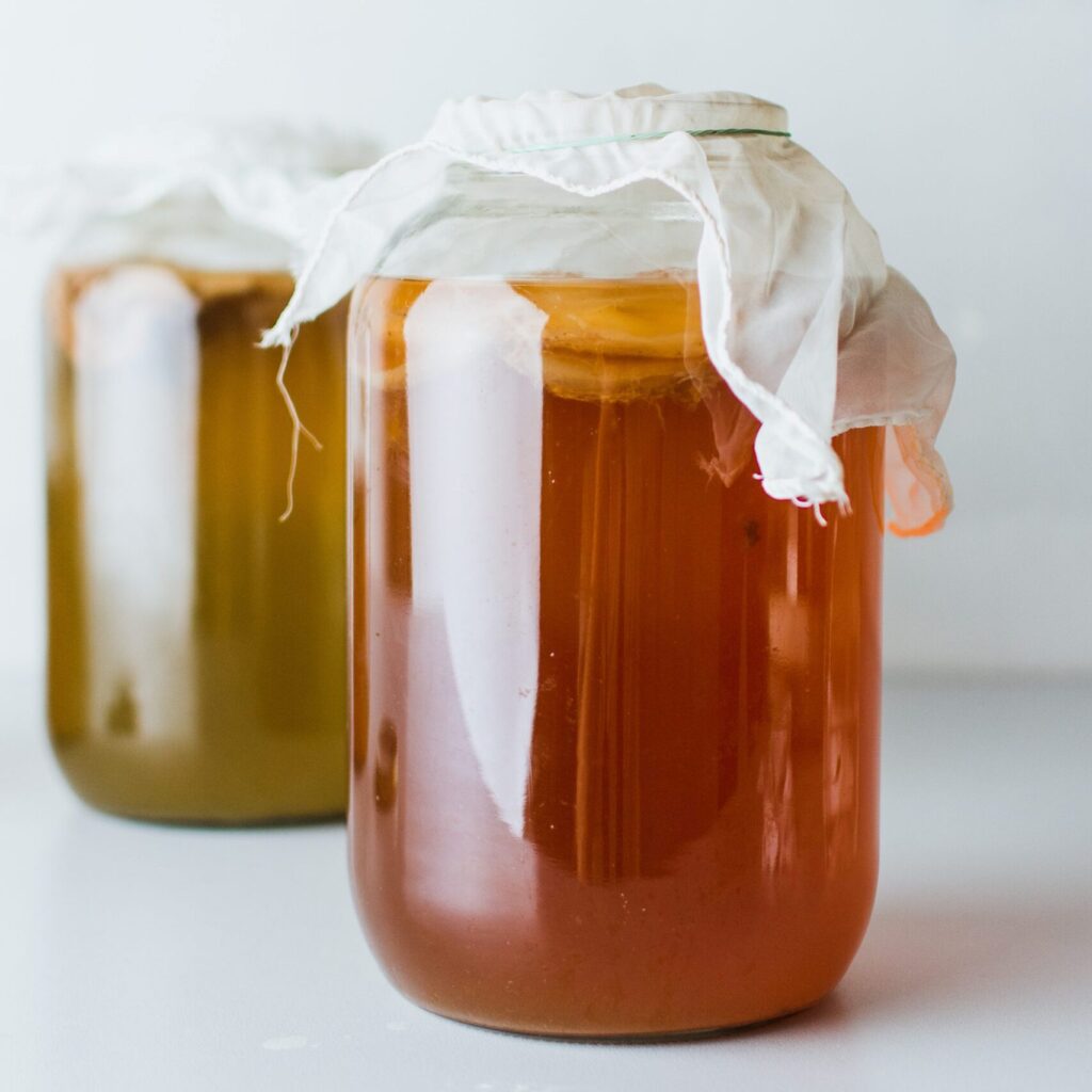 Swiss Kombucha Company Home Brew Starter Kit Swiss Kombucha Company